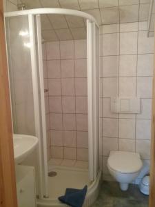 a bathroom with a shower with a toilet and a sink at Seeidyll in Zemitz