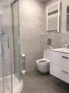 a bathroom with a toilet and a shower and a sink at Nuevo Luminoso Apartamento Catalina a 80 metros de la playa para 4 personas in Sant Feliu de Guixols