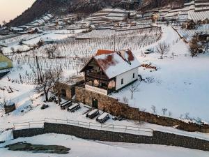 a small house in the snow next to a vineyard at Somlo Wineshop Guesthouse in Somlóvásárhely