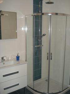 a bathroom with a shower and a sink at Domaine du Pré Salé in Roz-sur-Couesnon