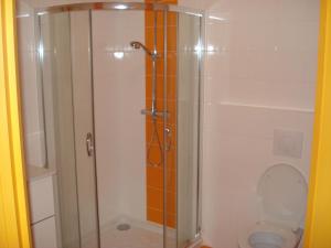 a bathroom with a shower and a toilet at Domaine du Pré Salé in Roz-sur-Couesnon