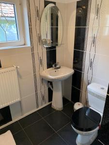 a bathroom with a sink and a toilet and a mirror at Unser Haus in Sibiu +30 photos