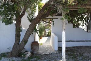 Fotografia z galérie ubytovania Cycladic House at the suburbs of Naousa v destinácii Nausa