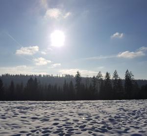 Príroda v okolí vily