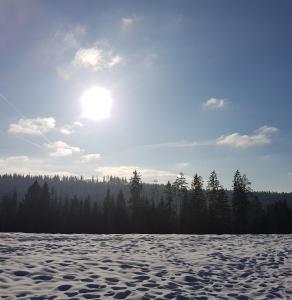 Príroda v okolí vily
