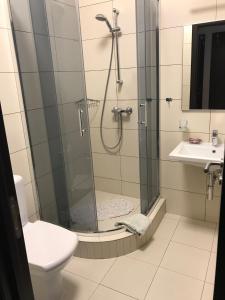 y baño con ducha, aseo y lavamanos. en Neopolis en Polyana