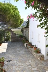 Fotografia z galérie ubytovania Cycladic House at the suburbs of Naousa v destinácii Nausa