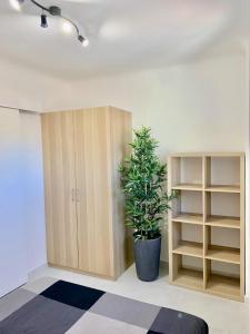 a room with a potted plant next to a cabinet at T2 bis cosy climatisé, Intra Muros Avignon in Avignon