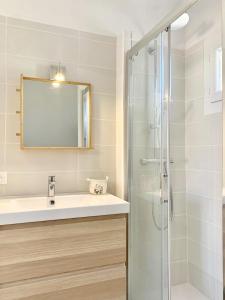 a bathroom with a sink and a shower at T2 bis cosy climatisé, Intra Muros Avignon in Avignon