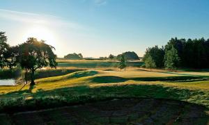 un campo da golf con un albero in mezzo a un verde di Hedmansgården a Västra Torp