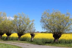 Paesaggio naturale nelle vicinanze dell'affittacamere