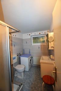 a bathroom with a toilet and a sink at Witt-Hues in Hohwacht