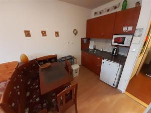 Kuchyň nebo kuchyňský kout v ubytování Ramzová apartmán Růžička