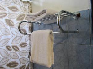 Koupelna v ubytování Hotel La Guaria Inn & Suites