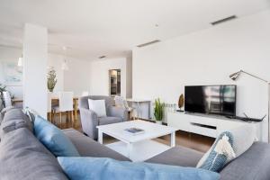 a living room with a couch and a tv at Les Corts Exclusive Apartments by Olala Homes in Barcelona