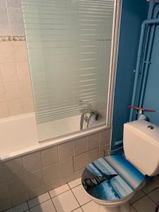 a bathroom with a toilet and a shower with a window at Appartement Rez de jardin Cabourg résidence bord de mer in Cabourg