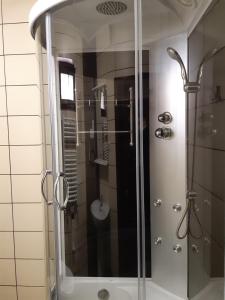 ポロヴラジにあるCasa din Salcamiのバスルーム(ガラス張りのシャワー、シンク付)