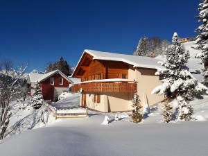 Panorama Chalet Montafon v zime