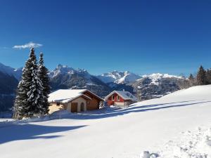 Panorama Chalet Montafon v zime