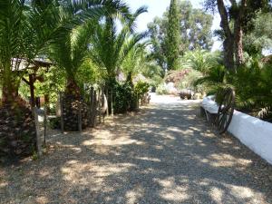 park z ławką i palmami w obiekcie Relais de Bravone w mieście Linguizzetta