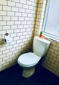 a bathroom with a toilet with a plant on top of it at The Liverpool Pod Travel Hostel in Liverpool
