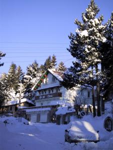 un bâtiment recouvert de neige avec un arbre devant lui dans l'établissement Residence Les Cimes, à Font-Romeu