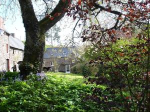 a garden with a tree and flowers in front of a house at Les Vallées du Guyoult in Dol-de-Bretagne