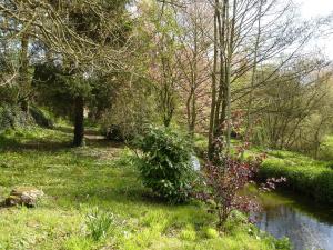 un jardin avec une rivière, des arbres et de la pelouse dans l'établissement Les Vallées du Guyoult, à Dol-de-Bretagne