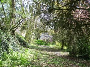 un sendero arbolado en un parque con árboles en Les Vallées du Guyoult, en Dol-de-Bretagne