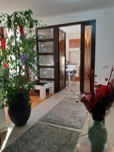 Billede fra billedgalleriet på Green Village Bran i Bran + 20 billeder