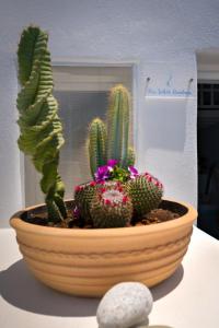 Φωτογραφία από το άλμπουμ του Fira White Residence στα Φηρά