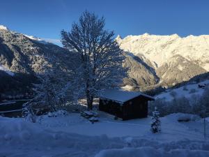 une cabane dans la neige avec un arbre et des montagnes dans l'établissement Kleines Paradies Montafon, à Bartholomäberg