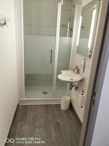 a bathroom with a shower and a sink at Ibis Styles Chambery Centre Gare in Chambéry