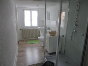 uma casa de banho com um WC e uma cabina de duche em vidro. em Location Alice em Ottrott