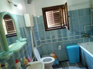 Vannituba majutusasutuses Guesthouse Tomasevic