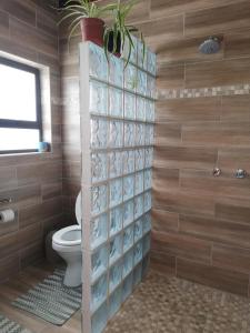 a bathroom with a toilet and a potted plant at Walvis Bay Backpackers & Self-catering in Walvis Bay