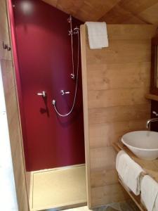 a bathroom with a shower and a sink at Berghütte Sommerstall in Redagno