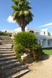 eine Palme und Treppen vor einem Haus in der Unterkunft HAGAY 1822 in Fréjus