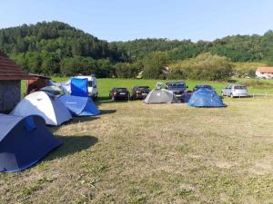 grupa namiotów i samochodów zaparkowanych na polu w obiekcie Dragacevska avlija - Camp w mieście Guča
