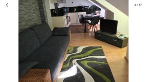 ein Wohnzimmer mit einem Sofa und einem TV in der Unterkunft Fewo an der Saale, 5 min bis Zentrum in Jena