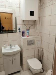 Baño pequeño con aseo y lavamanos en Apartament Reymonta, en Łowicz