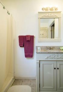 een badkamer met een wastafel, een spiegel en paarse handdoeken bij Lakeview Motel & Apartments in Massena