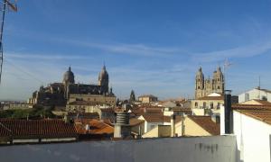 サラマンカにあるSalamanca Centro Apartamentosの建物や大聖堂のある街の景色