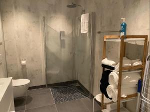 Kylpyhuone majoituspaikassa Aurora Dream