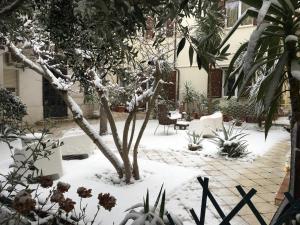 a garden covered in snow with a tree at B&B Lounge in Porto SantʼElpidio