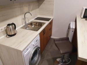 een kleine keuken met een wastafel en een wasmachine bij Apartservice in Uzhgorod s39 in Oezjhorod
