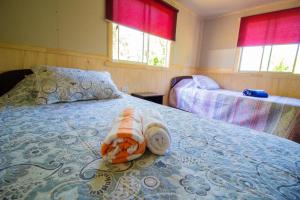 Billede fra billedgalleriet på Hospedaje Familiar Nicomacc i Melipeuco