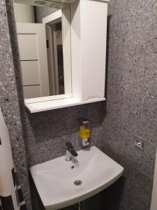 La salle de bains est pourvue d'un lavabo blanc et d'un miroir. dans l'établissement Apartservice in Uzhgorod s39, à Oujhorod