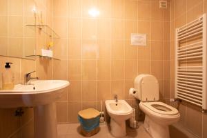 a bathroom with a toilet and a sink at Casas do Flor in Gouveia +20 photos
