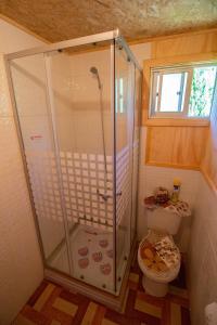 Un pequeño baño con ducha y WC. en Hospedaje Familiar Nicomacc, en Melipeuco 54 fotos más